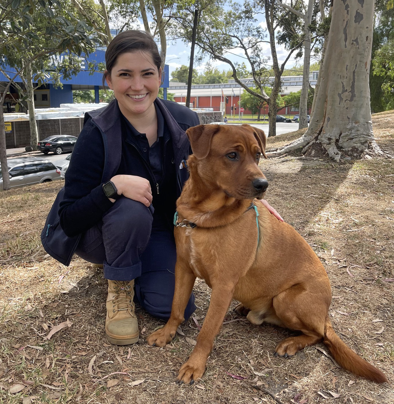 Dogs in the Park - Sunday 30 April at Fawkner Park Tickets, The Lost ...