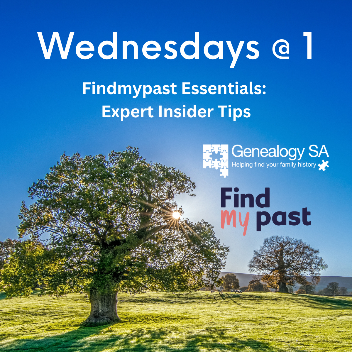 A sunny landscape with a tree. Text: Wednesdays @ 1, Find my past expert insider tips. 