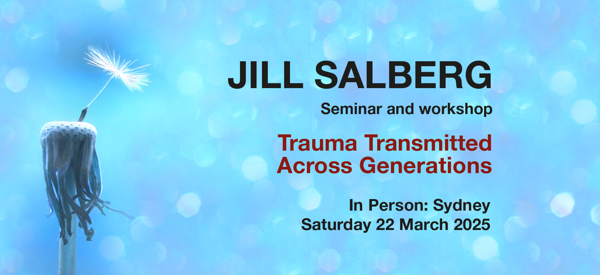 Jill Salberg IARPP Seminar 2024