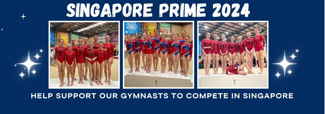 Fundraising Page Singapore Prime International Invitational 2024   2259 564c8fdeefa14e8c8db40826a05d96a1 