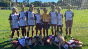 Subiaco AFC - 2024 Sept/Oct Skills Clinic Tickets, Rosalie Park ...