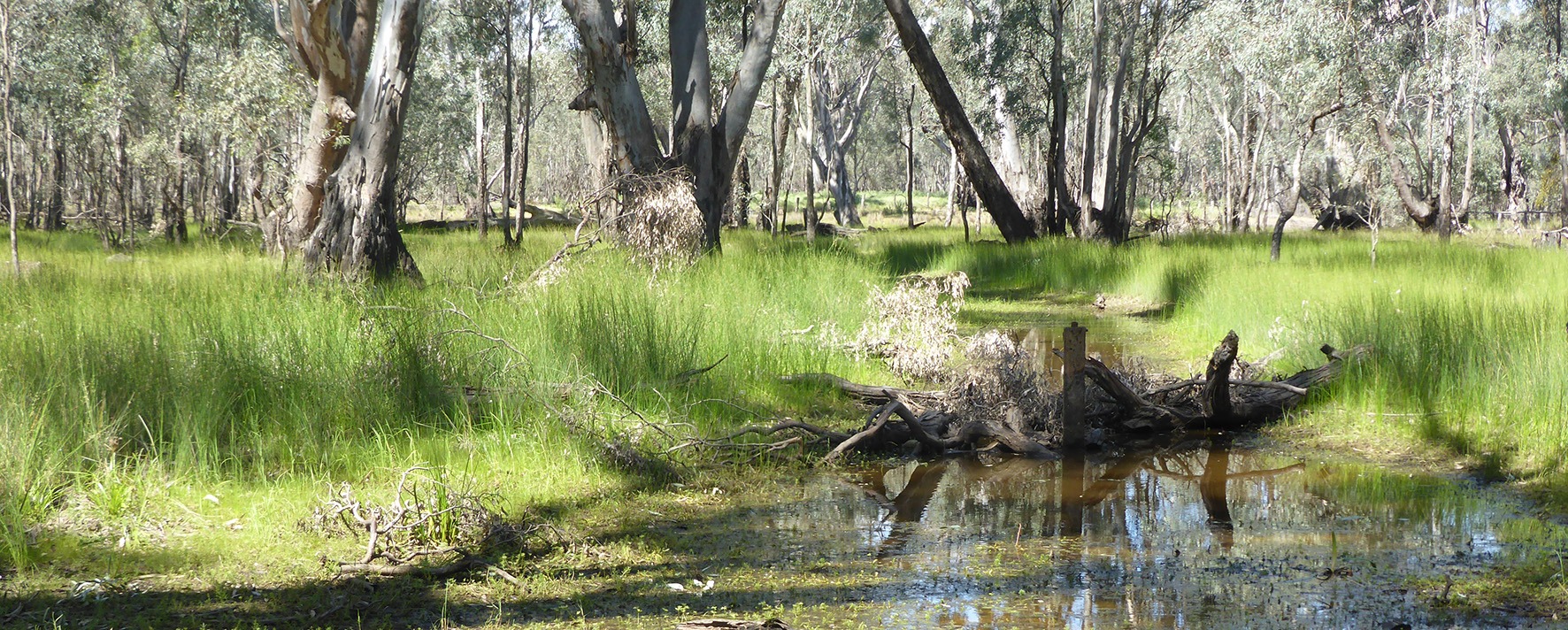 Environmental water and fauna monitoring in our local rivers Tickets ...