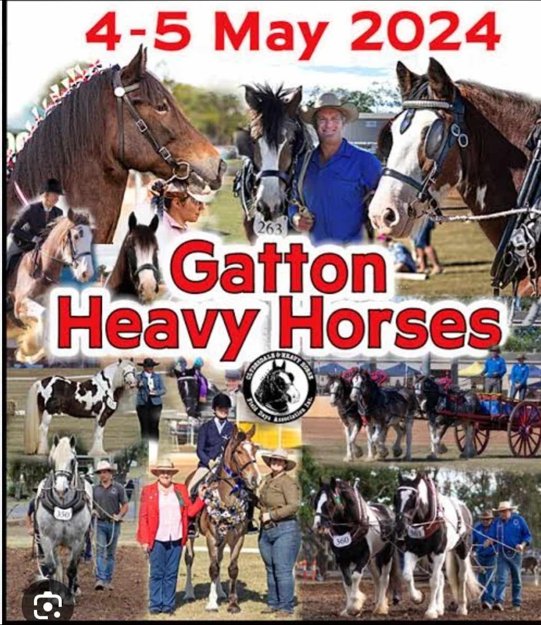 Gatton Heavy Horse Day Bus Trip Tickets, The Shed Pine Rivers