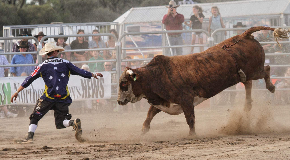 Mogumber New Year's Eve Rodeo 2024 Tickets, Mogumber Arena, Mogumber ...