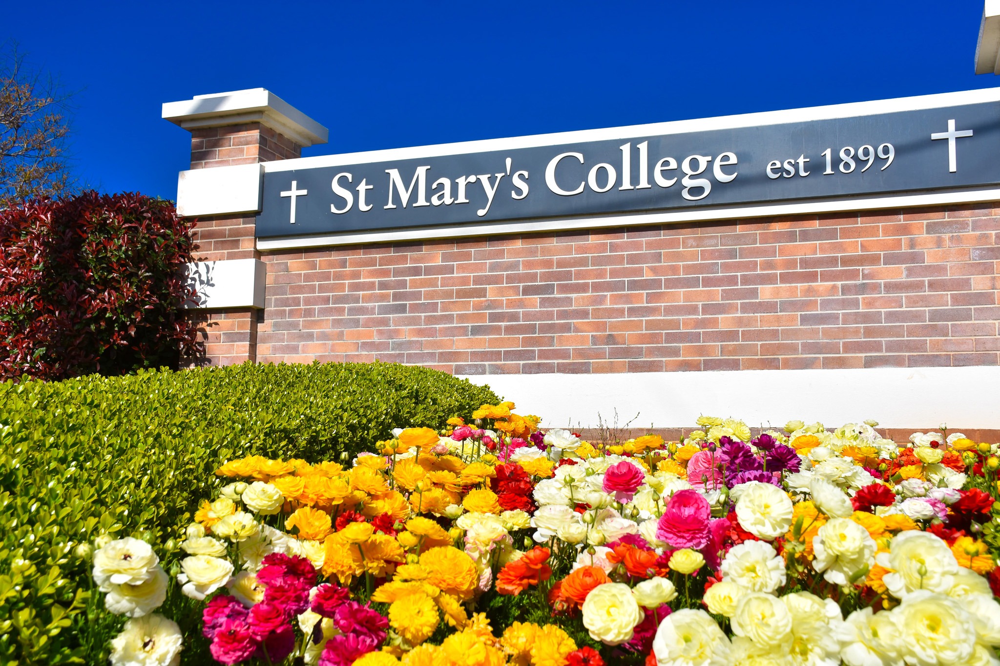 St Mary 39 S College Old Boys 39 Ball Tickets Now Available St Mary 39 S