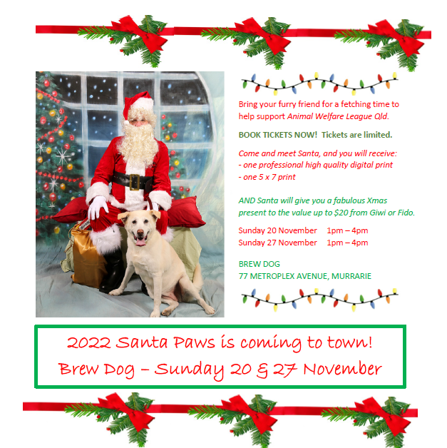 can santa give you a dog for christmas