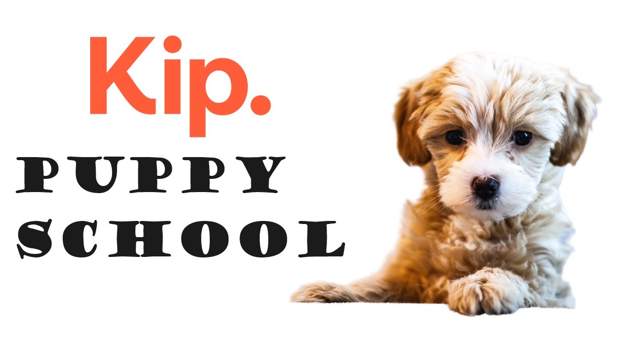 Puppy school store in my area