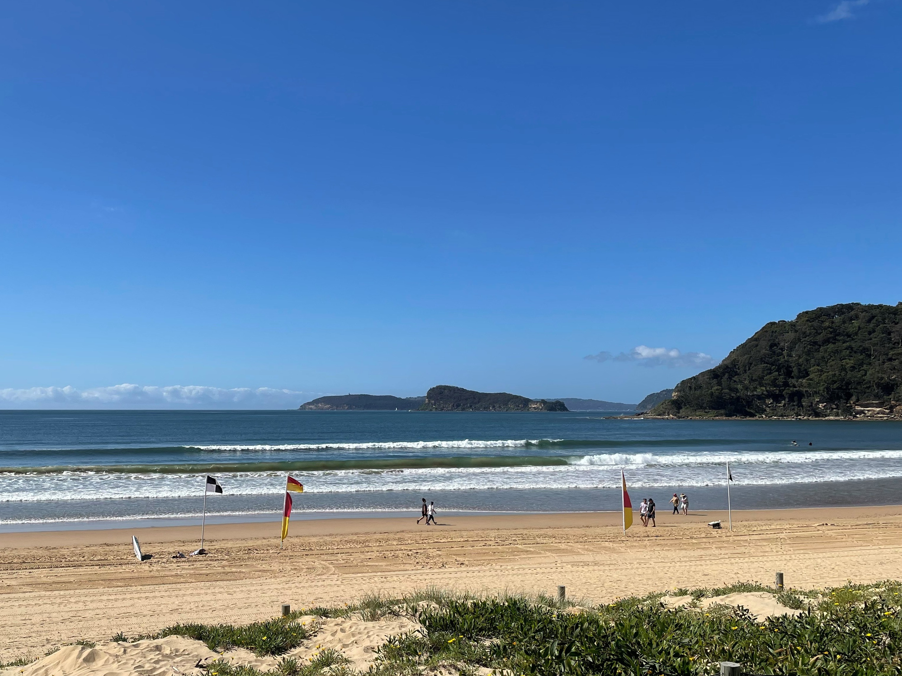 POS Summer Solstice Swim 2024 Tickets, Umina Beach TryBooking Australia