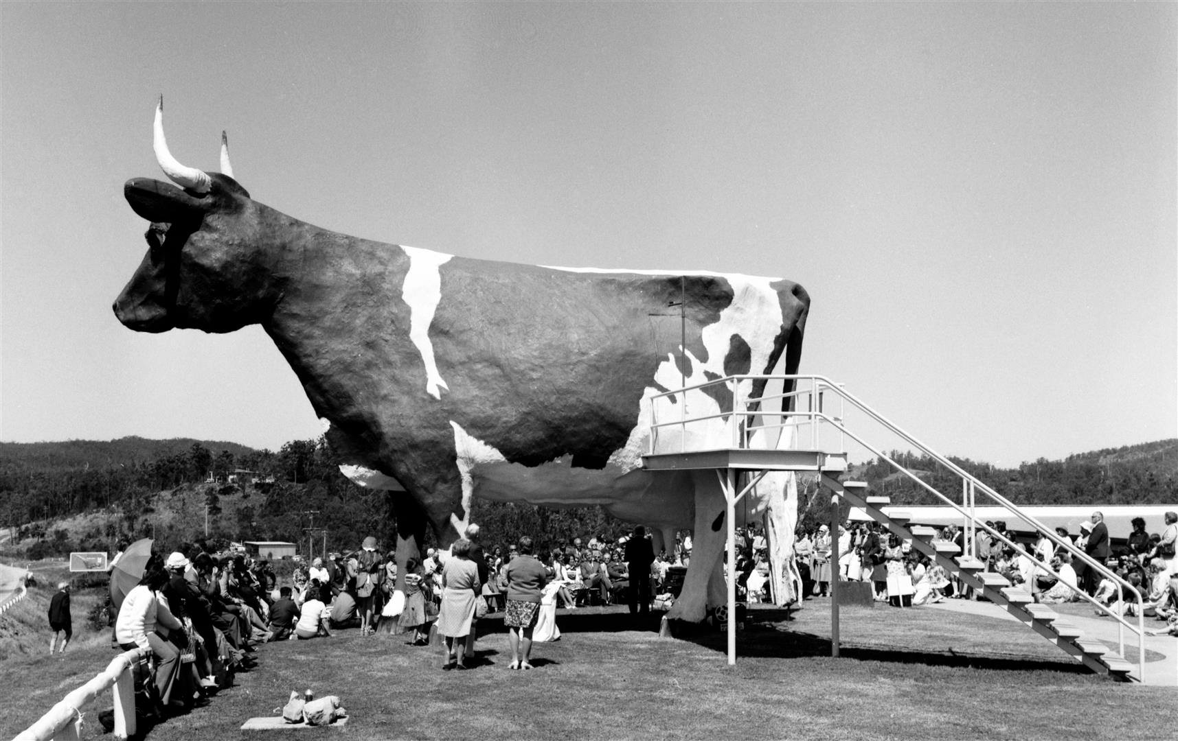 Official Opening of the Big Cow TryBooking Australia