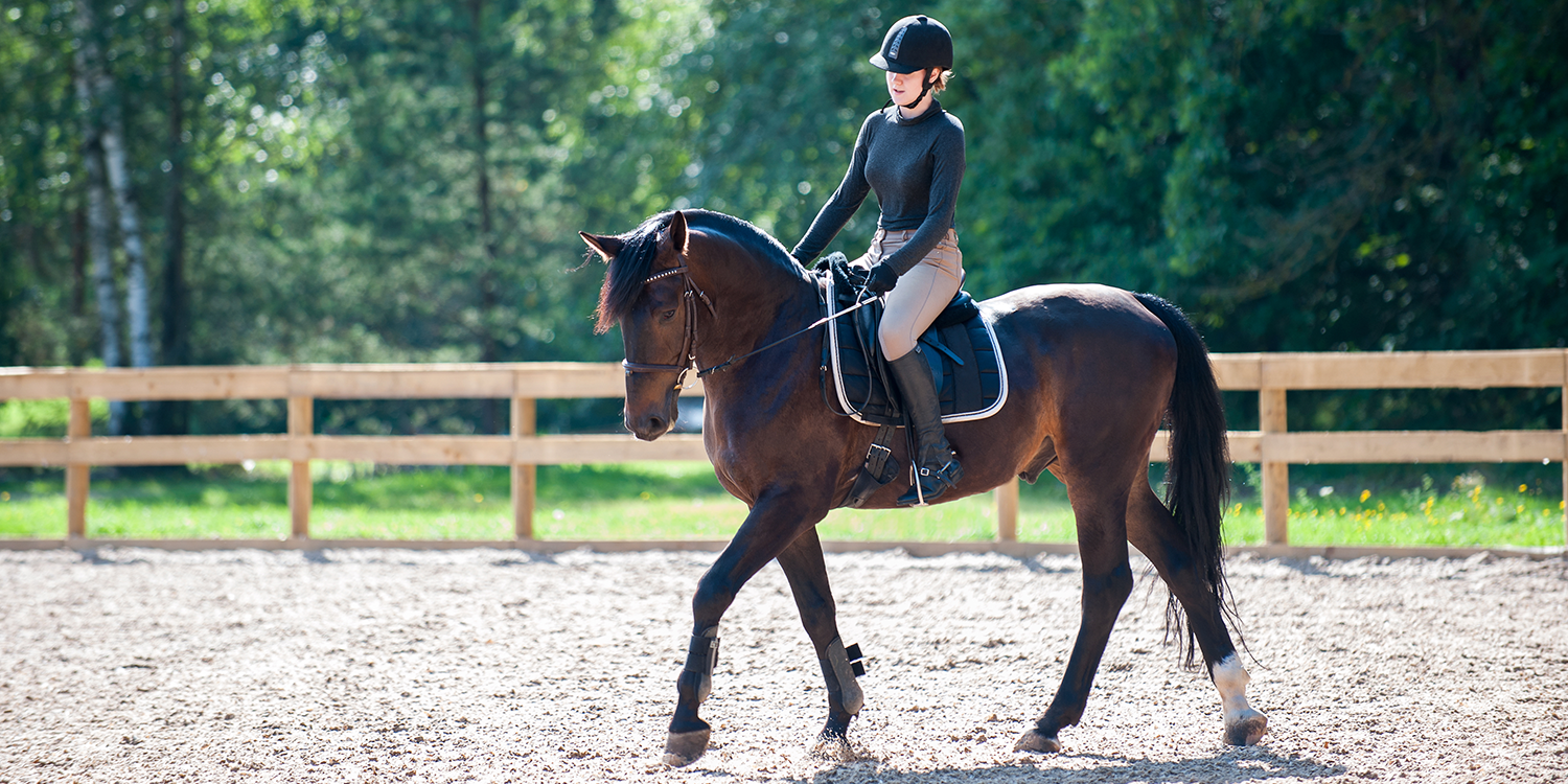 How TryBooking Supports Coaches and Trainers Streamlining Equine Training Sessions